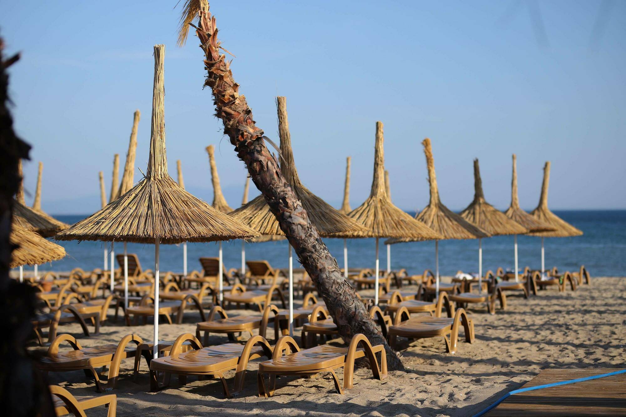 Ayvalik Sea Resort Eksteriør billede